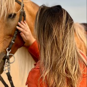 Meditation / Constellation with Horses