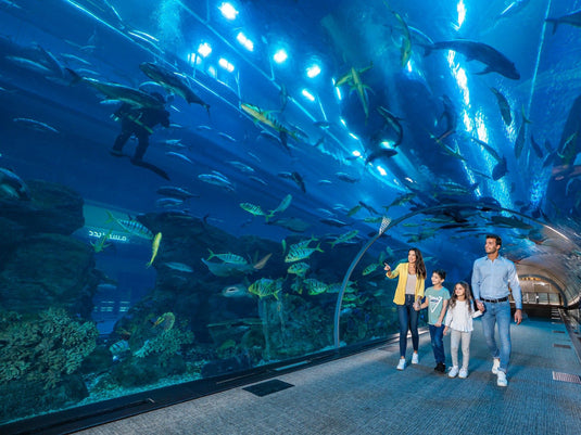 Dubai Tour incl Burj Khalifa