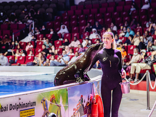Dolphin and Seal Show @ Dubai Dolphinarium (Ticket only)