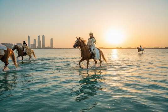 Ocean Immersion with Horses Abu Dhabi — U|X Signature Club Pillar B